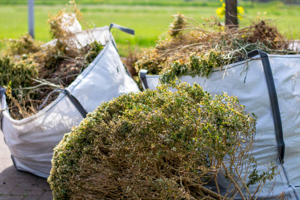 Best Commercial Cleanout Services  in Mccordsville, IN